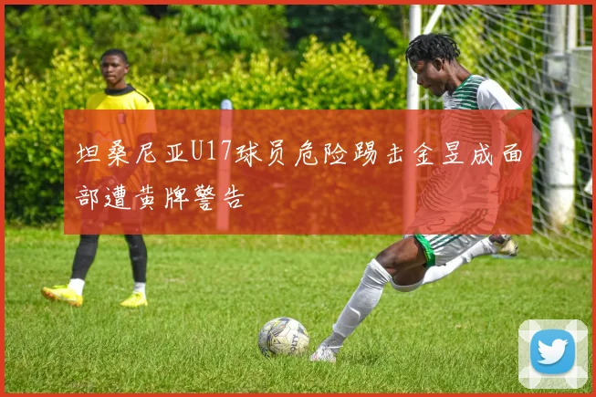 坦桑尼亚U17球员危险踢击金昱成面部遭黄牌警告
